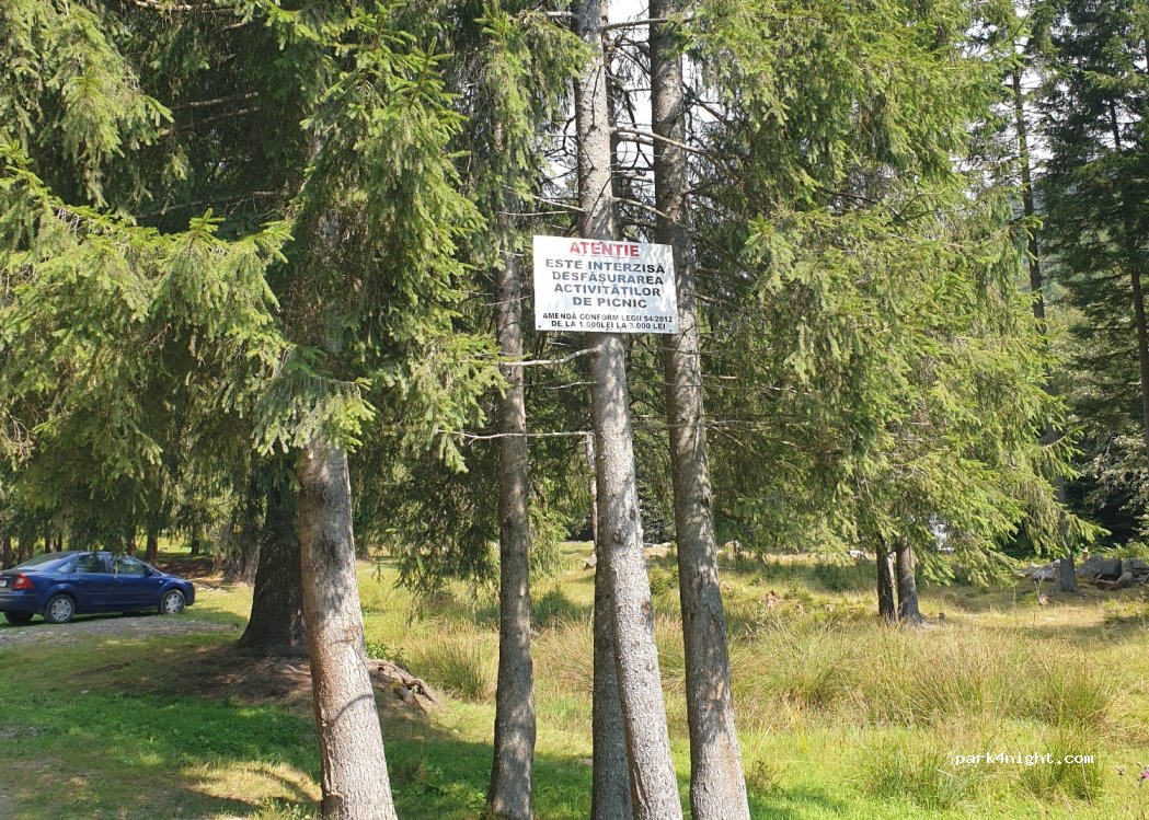 (117430) Sătic - Unnamed Road — foto 3