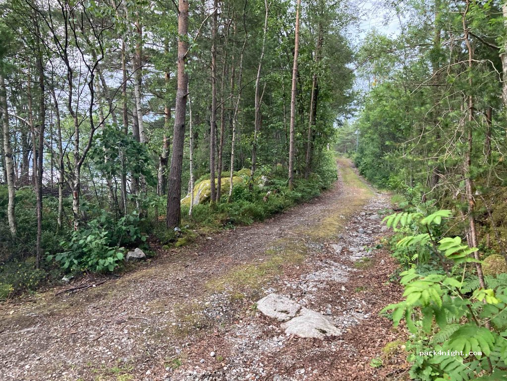 (5475) Ænes - — foto 4