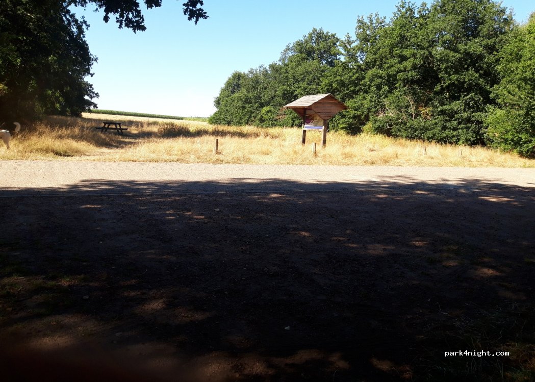 (7975) Uffelte - Weg achter de Es — foto
