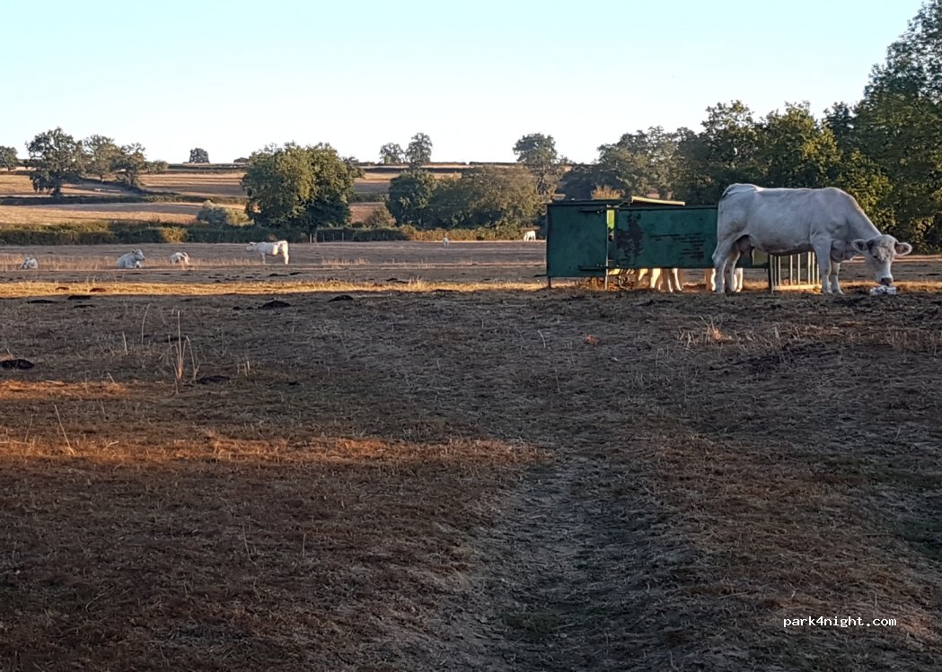 (71120) Viry - Unnamed Road — foto 3