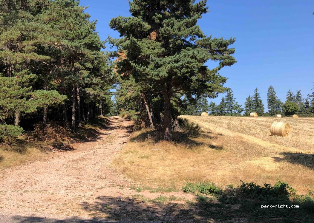 (48800) Prévenchères - Unnamed road — foto