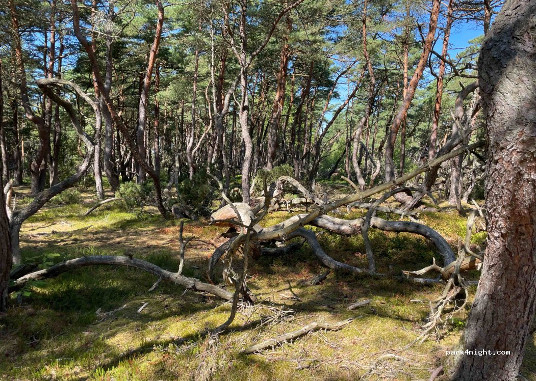 (310 42) Haverdal - 39 Kvarnvägen — foto 2