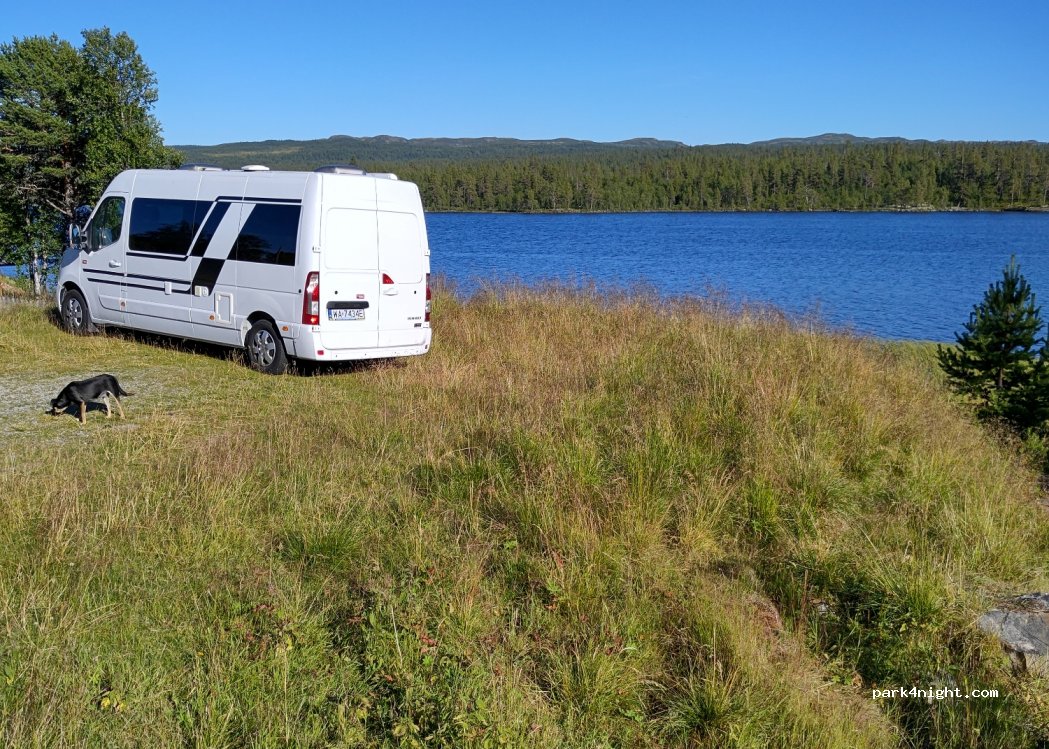 (3540) Nesbyen - 40 Sekundær Fylkesveg 214 — foto
