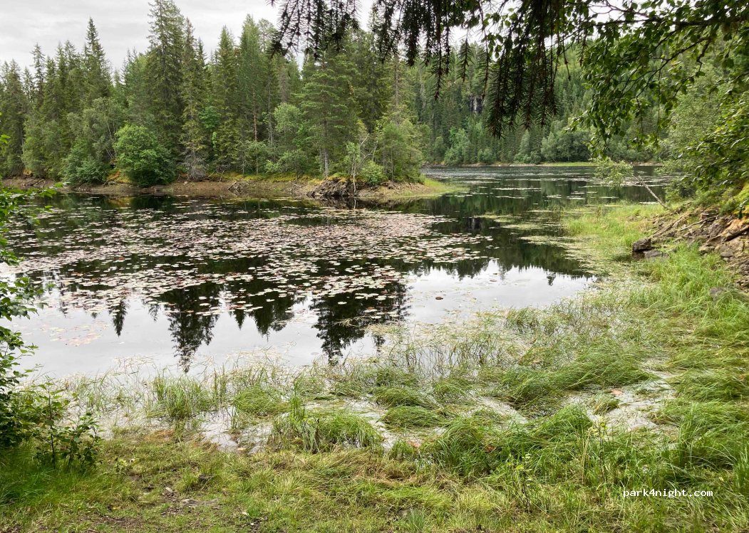(7550) Hommelvik - — foto