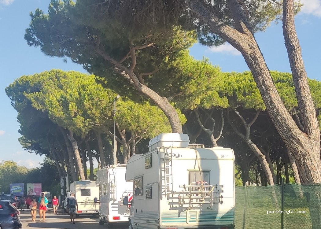(54100) Marina di Massa - 392 Via delle Pinete — foto