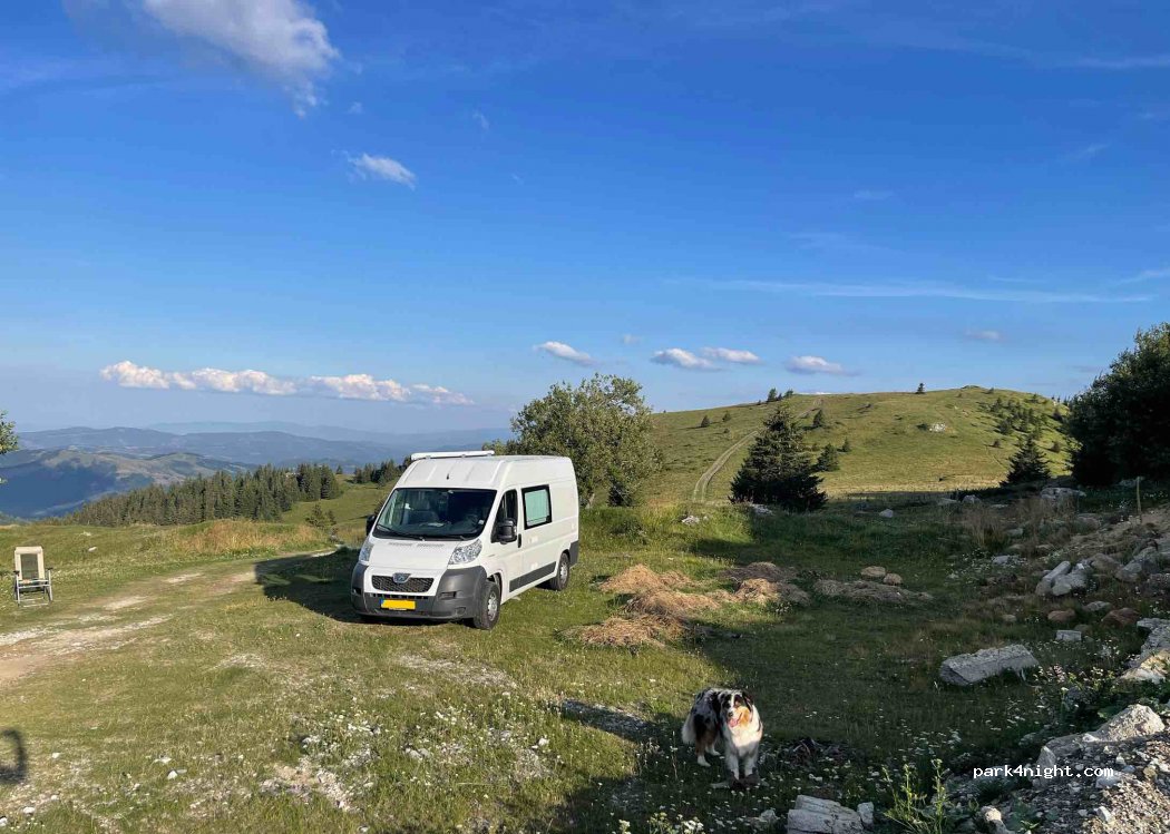 (37225) Brzeće - — foto