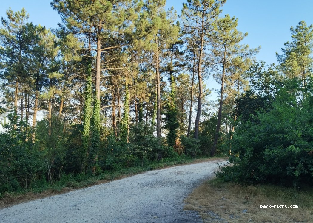 (15898) Santiago de Compostela - Estrada do Pedroso — foto 3