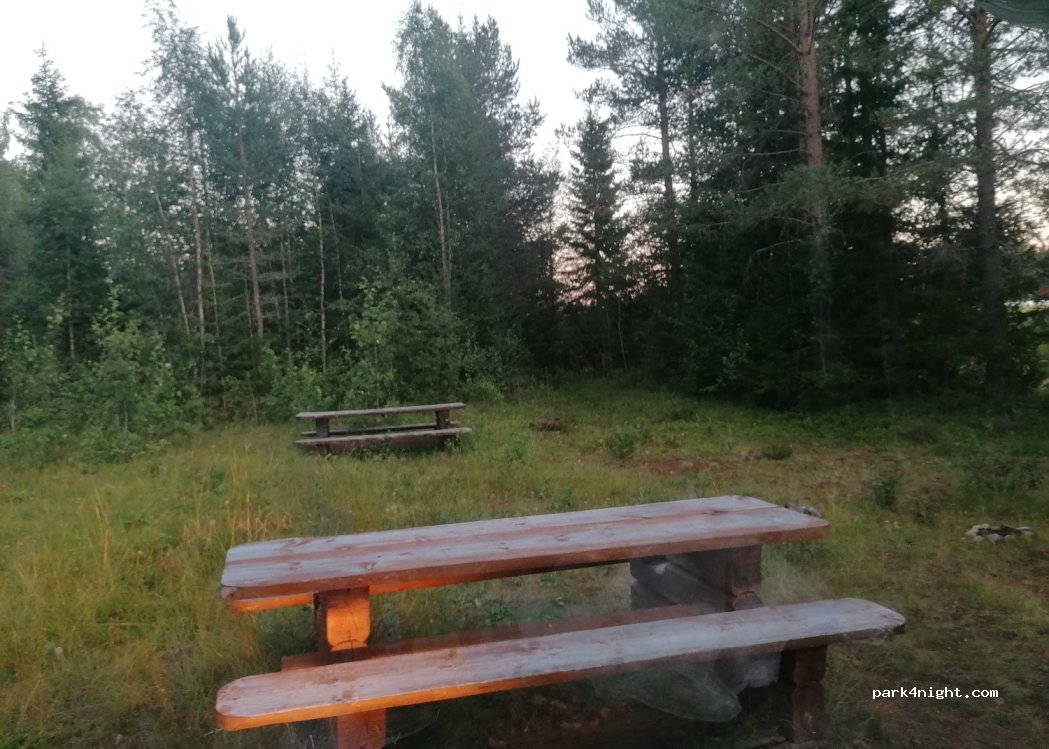 (2425) Innlandet - 1242 Skårvegen — foto