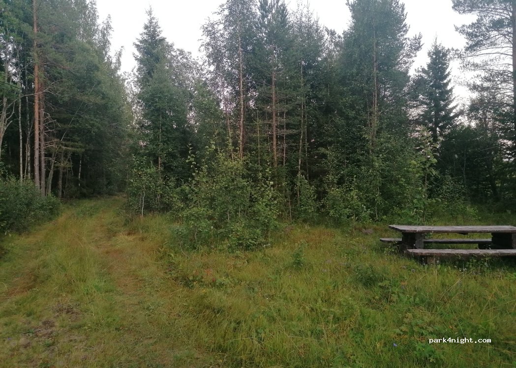 (2425) Innlandet - 1242 Skårvegen — foto 2