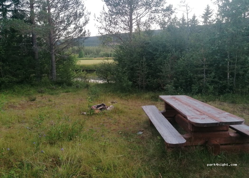 (2425) Innlandet - 1242 Skårvegen — foto 3