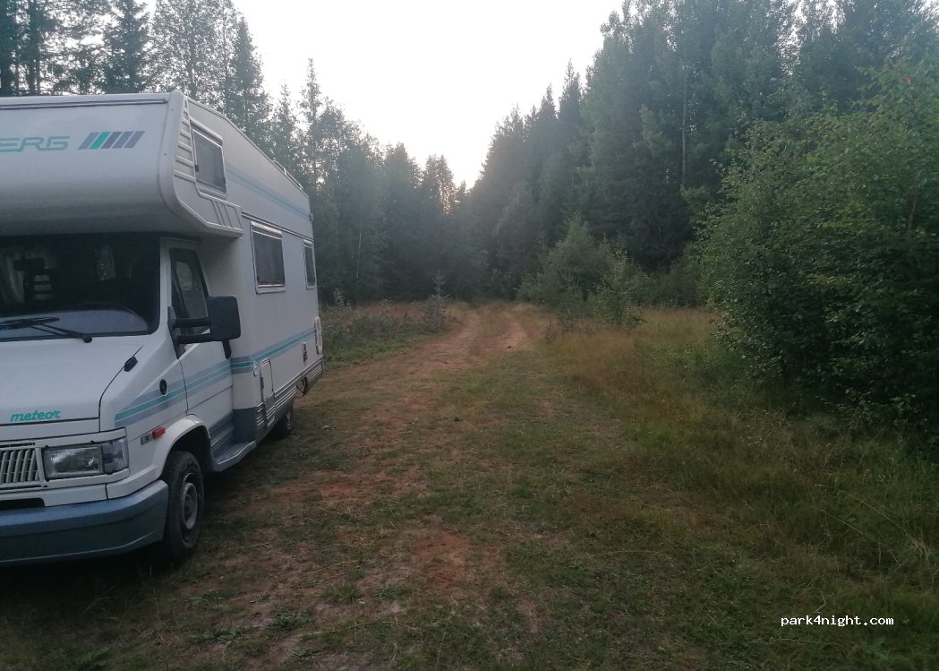 (2425) Innlandet - 1242 Skårvegen — foto 4