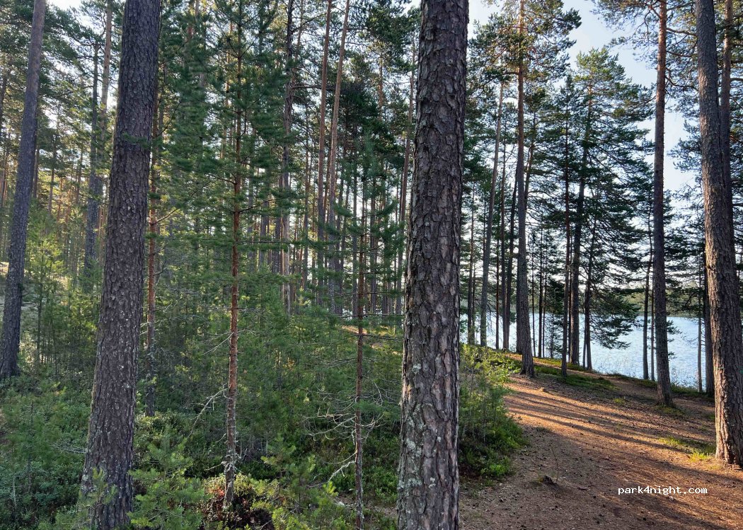 (792 96) Våmhus - — foto 3