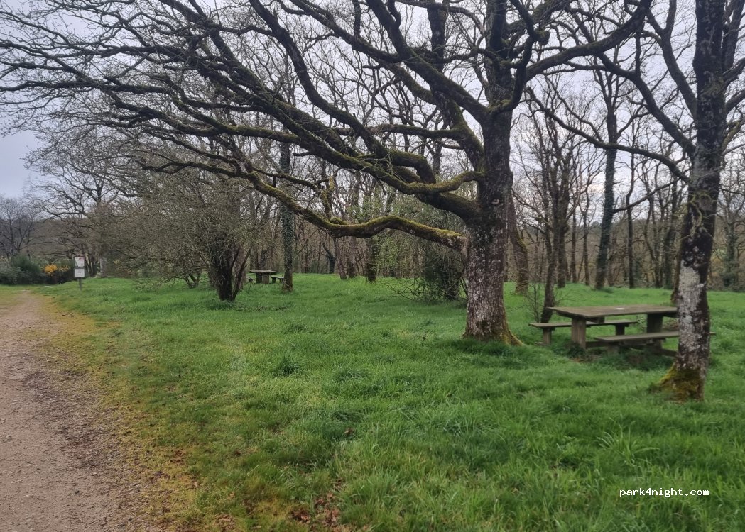(85130) Bazoges-en-Paillers - L'Ortay — foto
