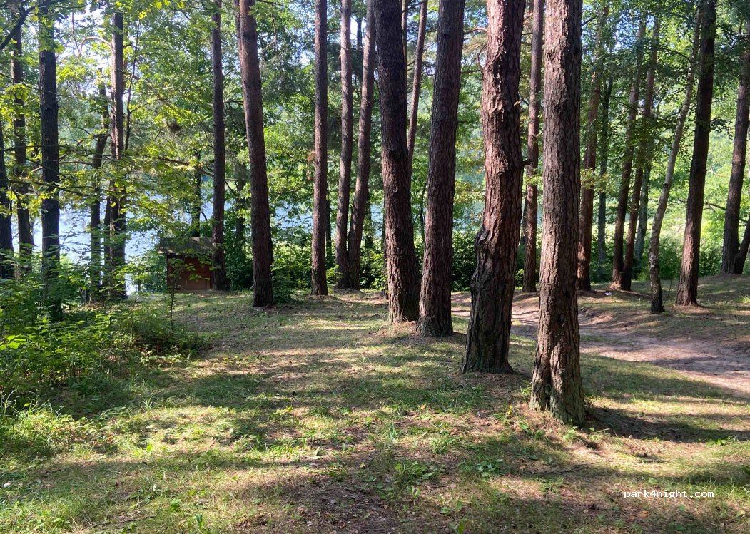 (30221) Ginučiai - — foto 2