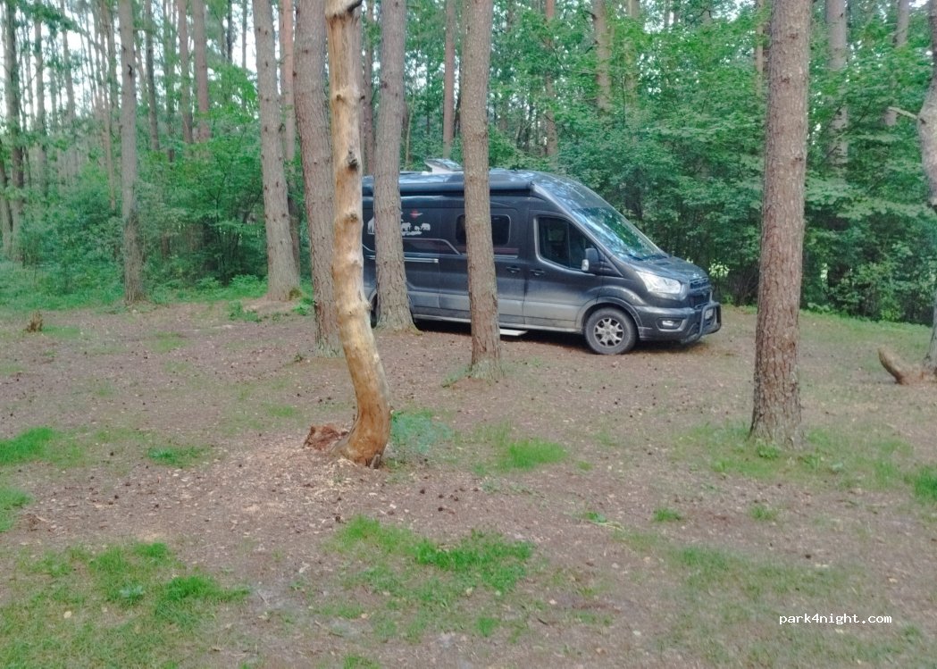 (30221) Ginučiai - — foto 3