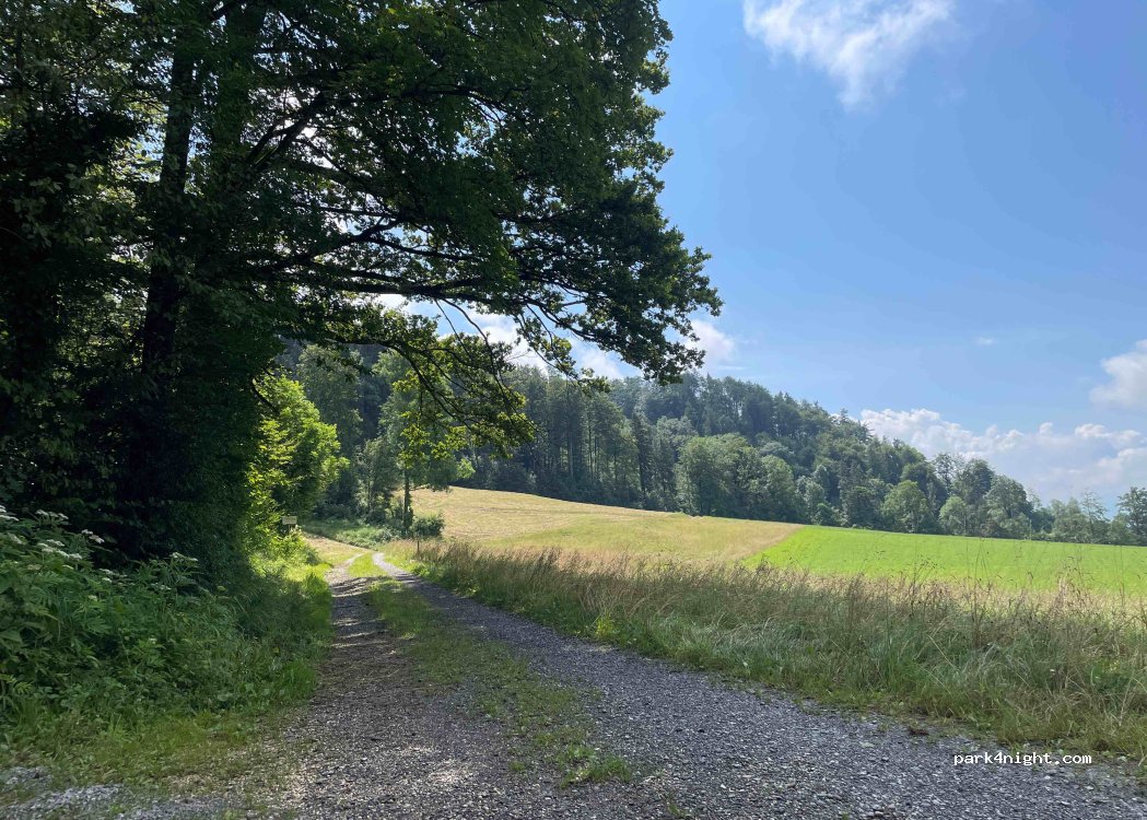 (8915) Hausen am Albis - Unnamed Road — foto 2