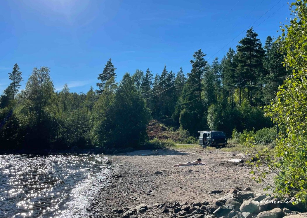 (2224) Varaldskogen - — foto