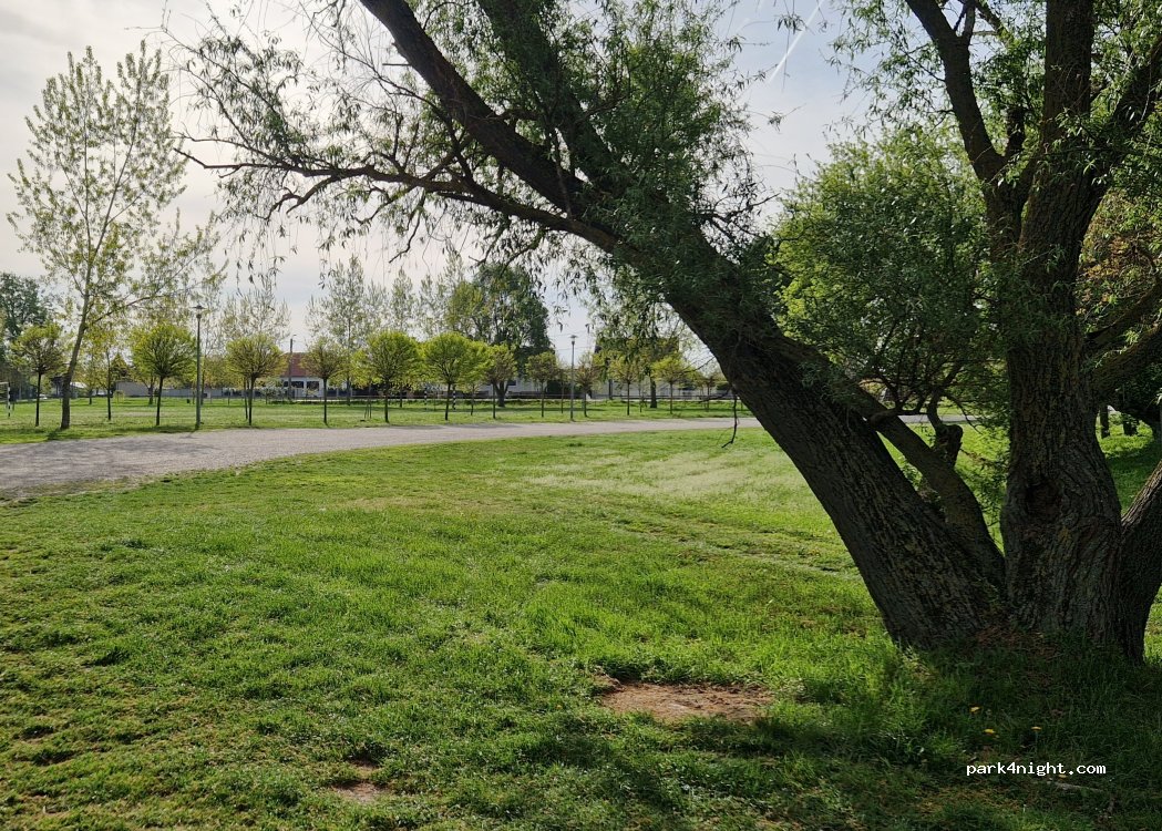 (9019) Győr - 55 Szent László út — foto 5