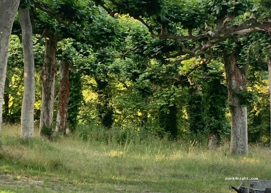 (40240) Saint-Justin - 54 Route de Douzevielle — foto 4