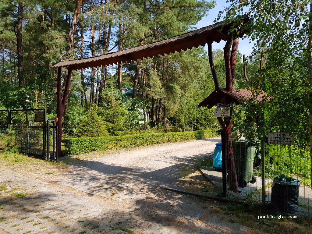 Nad Białym. pole namiotowe leśne — foto