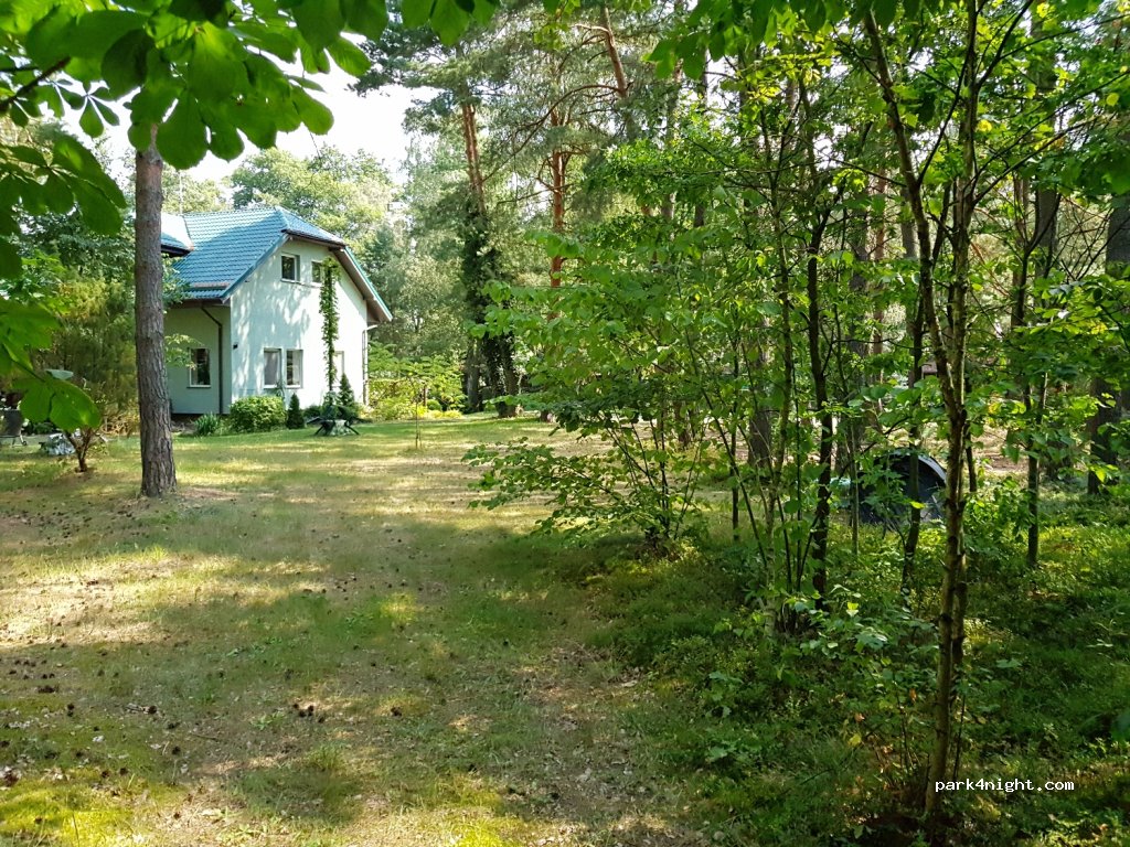Nad Białym. pole namiotowe leśne — foto 2
