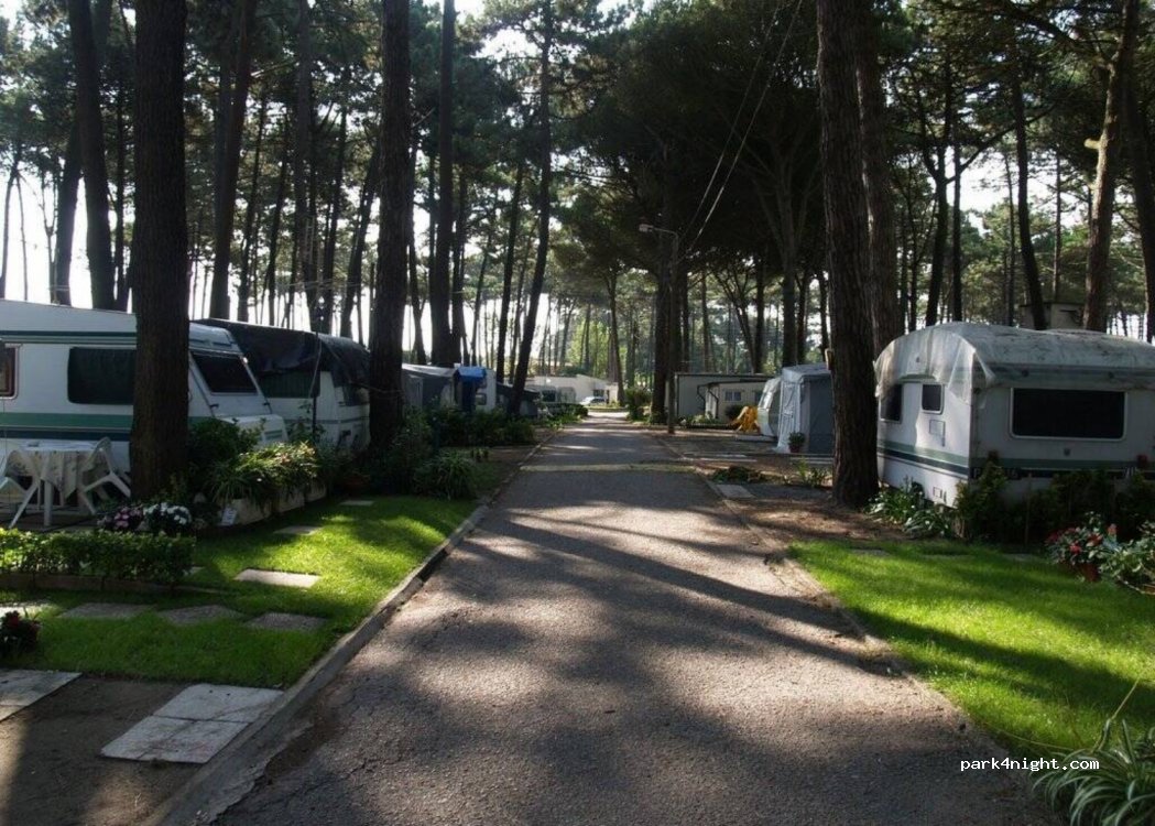 Parque de Campismo de Vila do Conde — foto 4