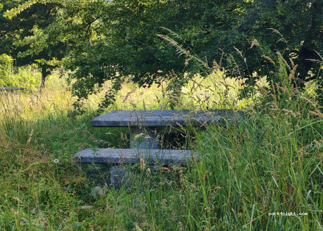 (12080) Vicoforte - 3 Strada Provinciale 360 — foto 5
