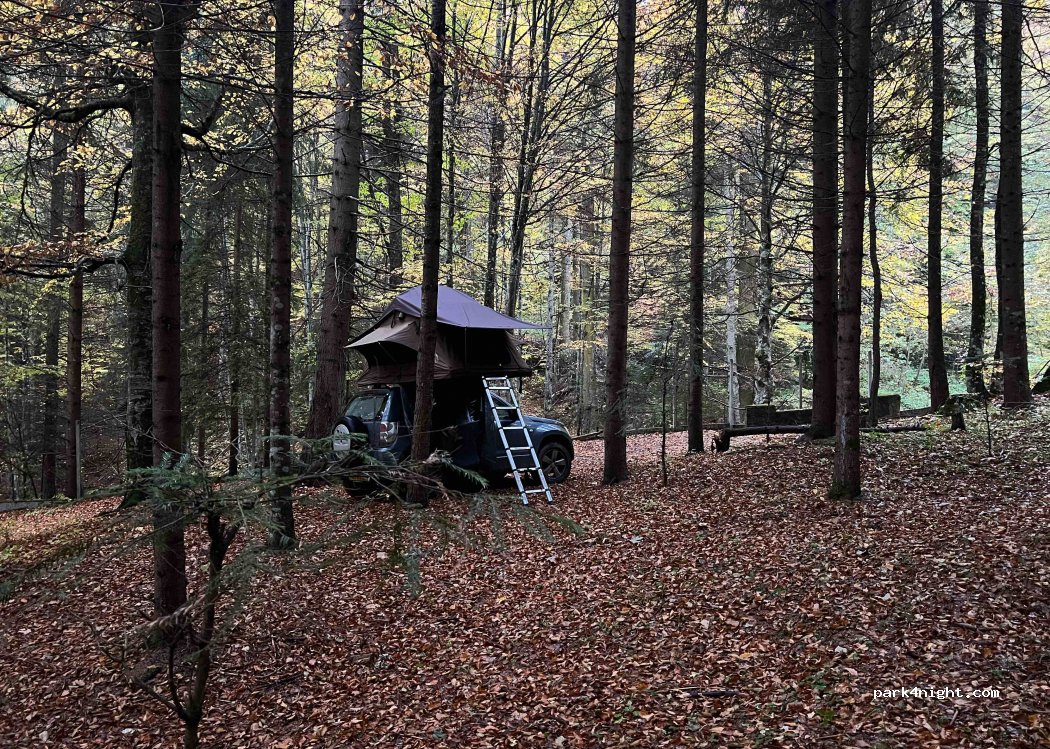 (DC134) Sinaia - Poteca regala — foto 3