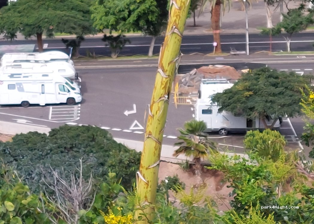 (38005) Santa Cruz de Tenerife - 5 Avenida la Constitución — foto 4