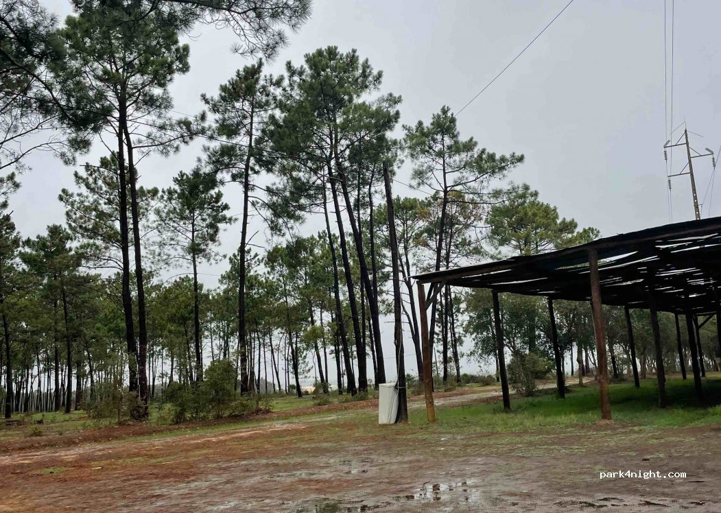 (7630-174) Estibeira - — foto 2