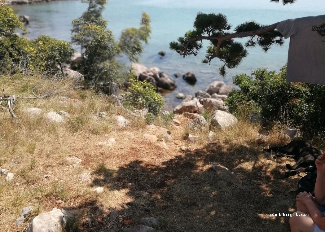 (53288) Staništa - D8 — foto