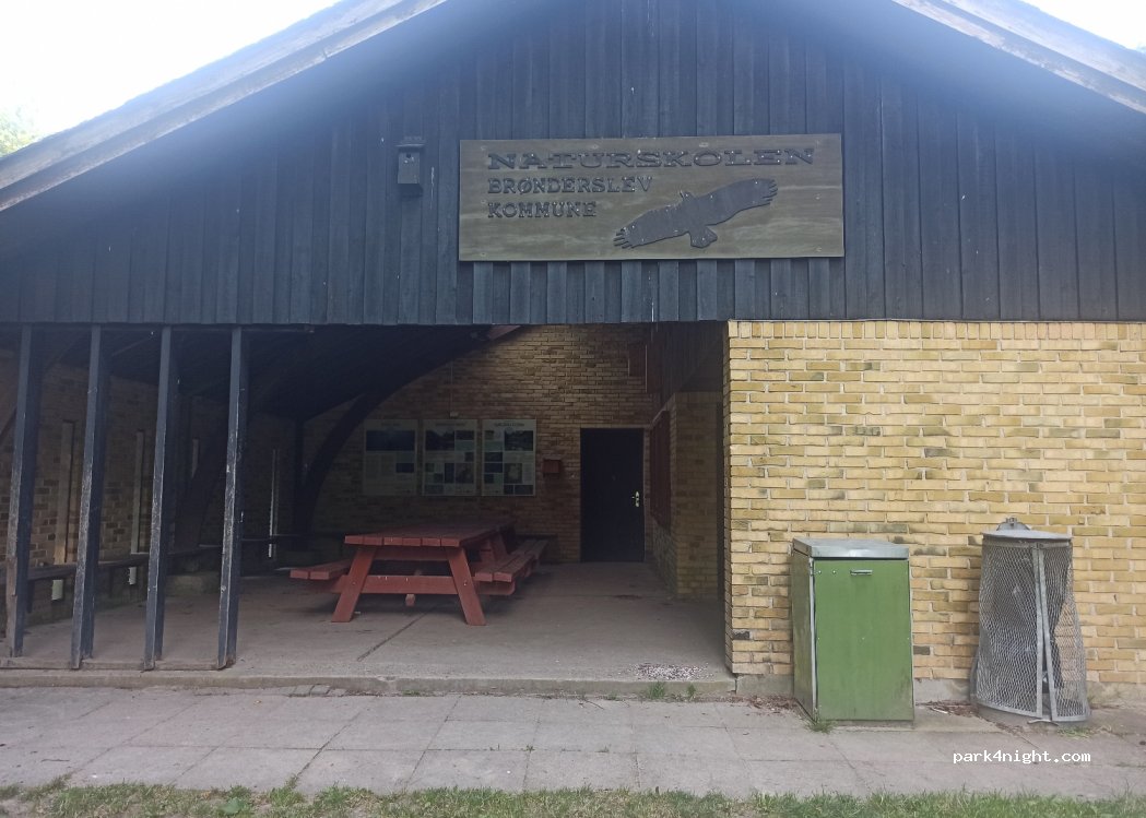 Søheden skov shelterplads — foto