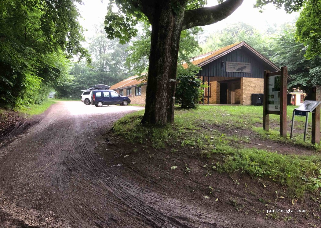 Søheden skov shelterplads — foto 2