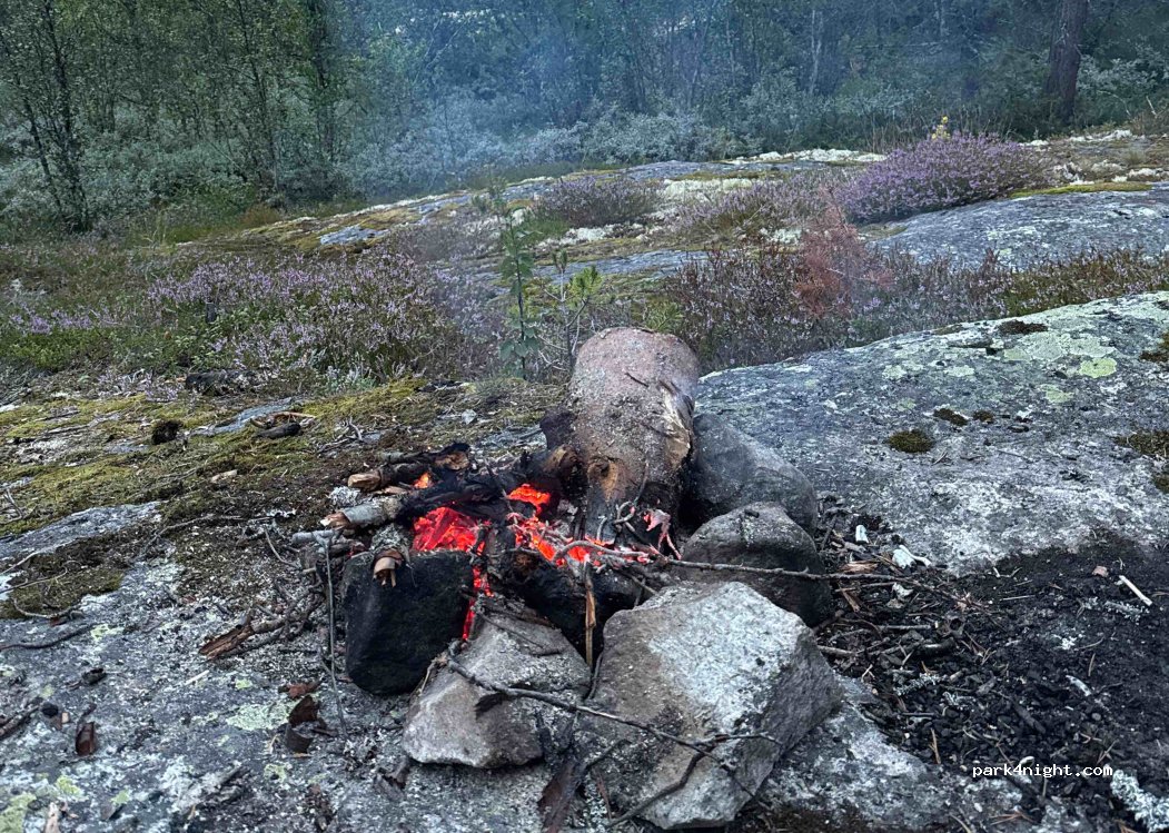(3588) Dagali - 181 Dagalivegen — foto 3