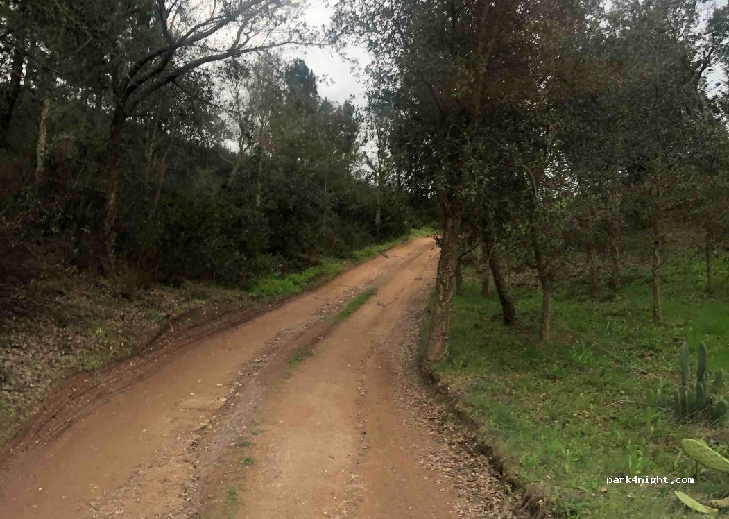 (7630-521) Odemira - Ameixeira, EM 503 — foto 3