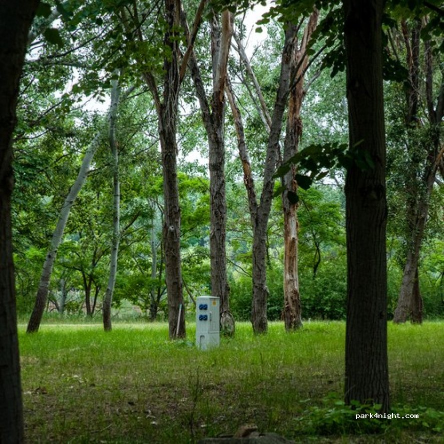Tó-Kemping — foto 4