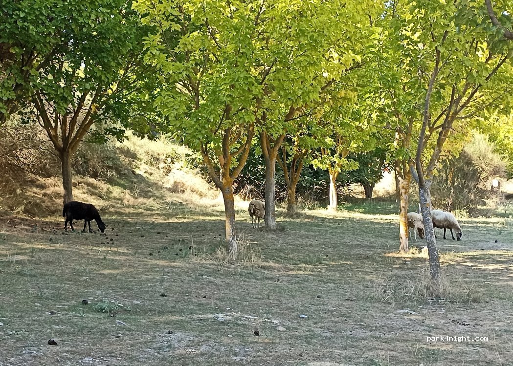 (383 34) Volos - Unnamed Road — foto 4