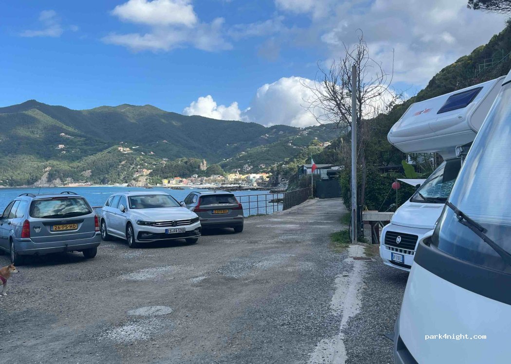 Il Rospo Di Maggi Cinzia & C. S.A.S. — foto 4