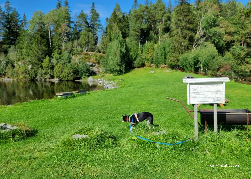 (7630) Åsen - 99 Håmmårsvegen — foto 4