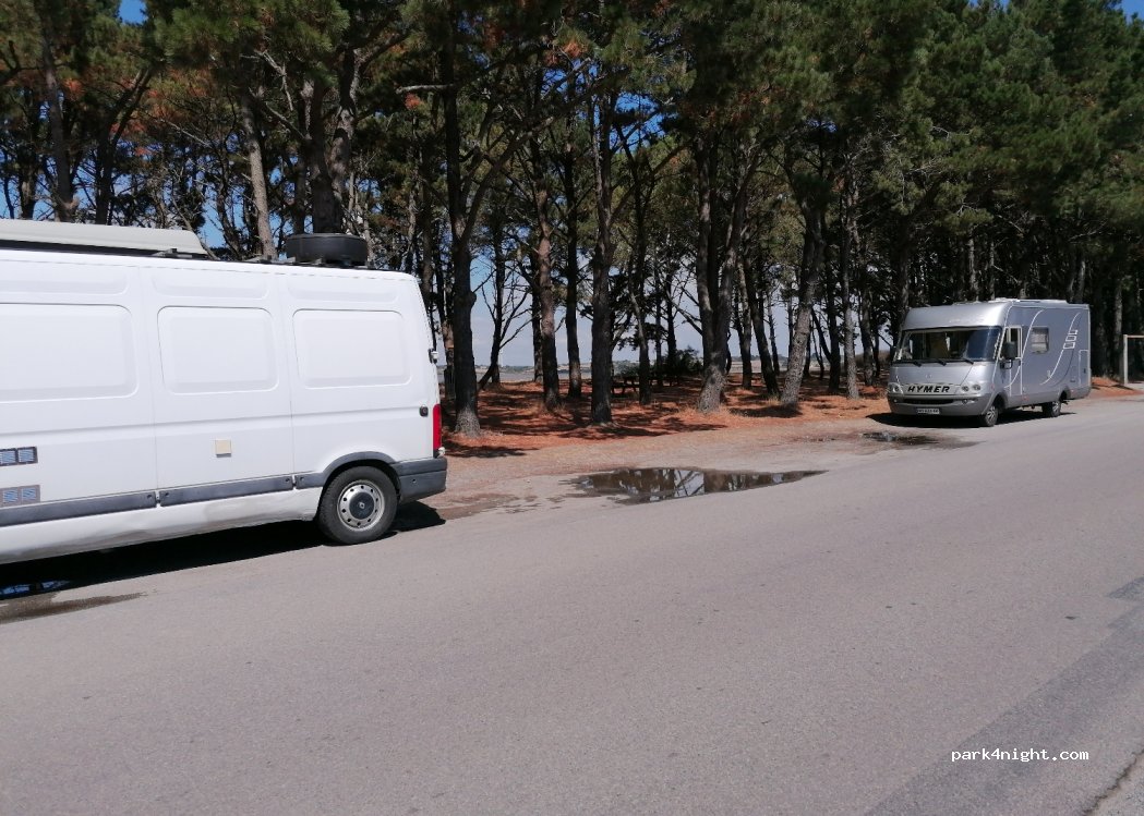 (56760) Pénestin - 1003 Le Branzais — foto