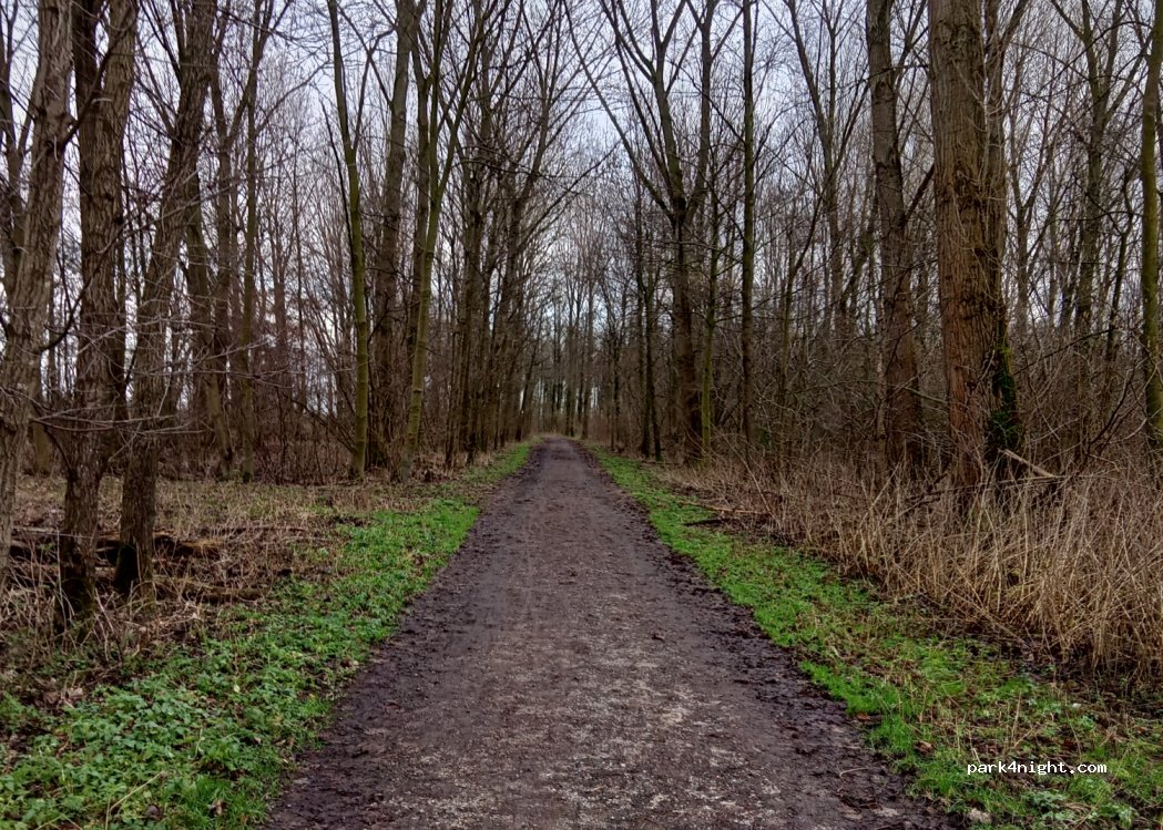 (26) Radom - Unnamed Road — foto