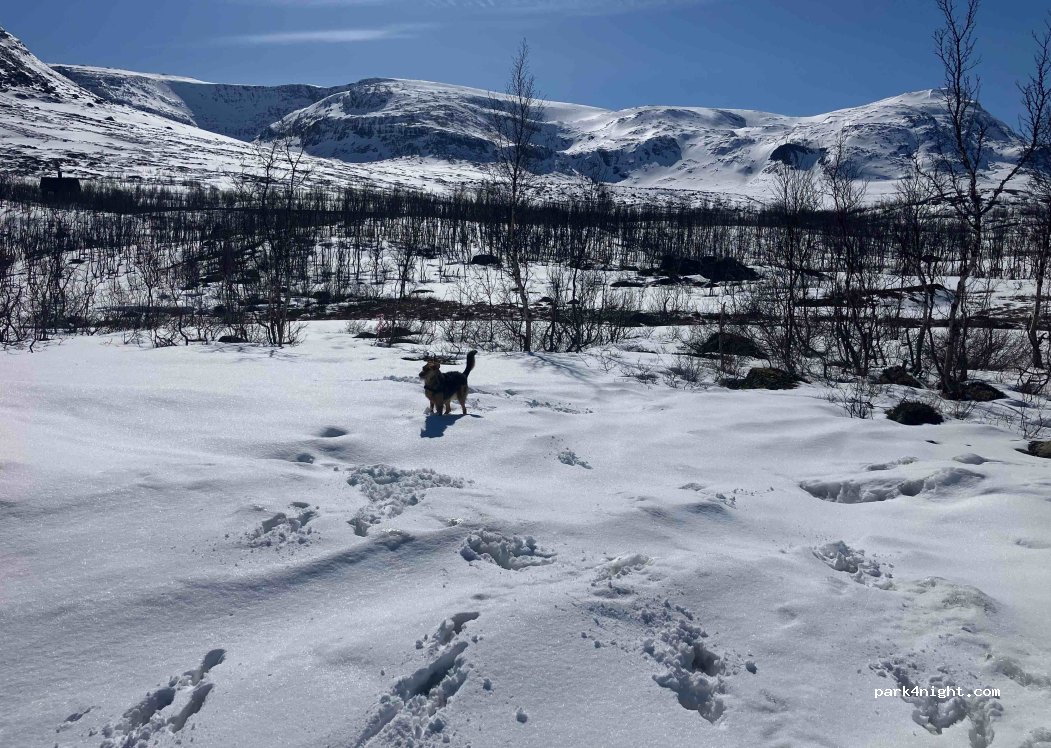 (981 94) Kiruna - E10 — foto 4