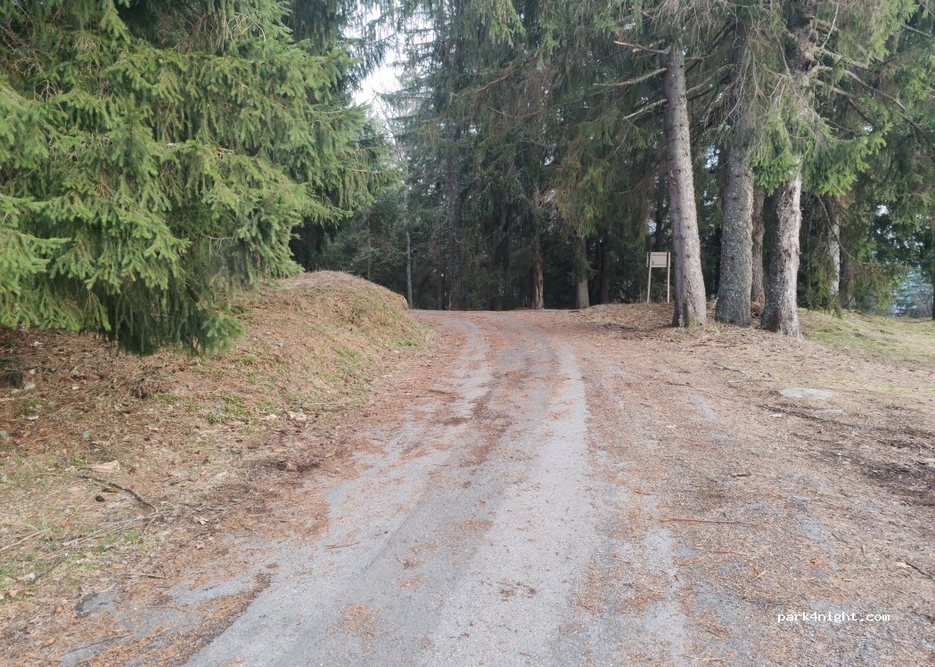(73540) La Bâthie - Rte Forestière de la Montagne des Prés — foto