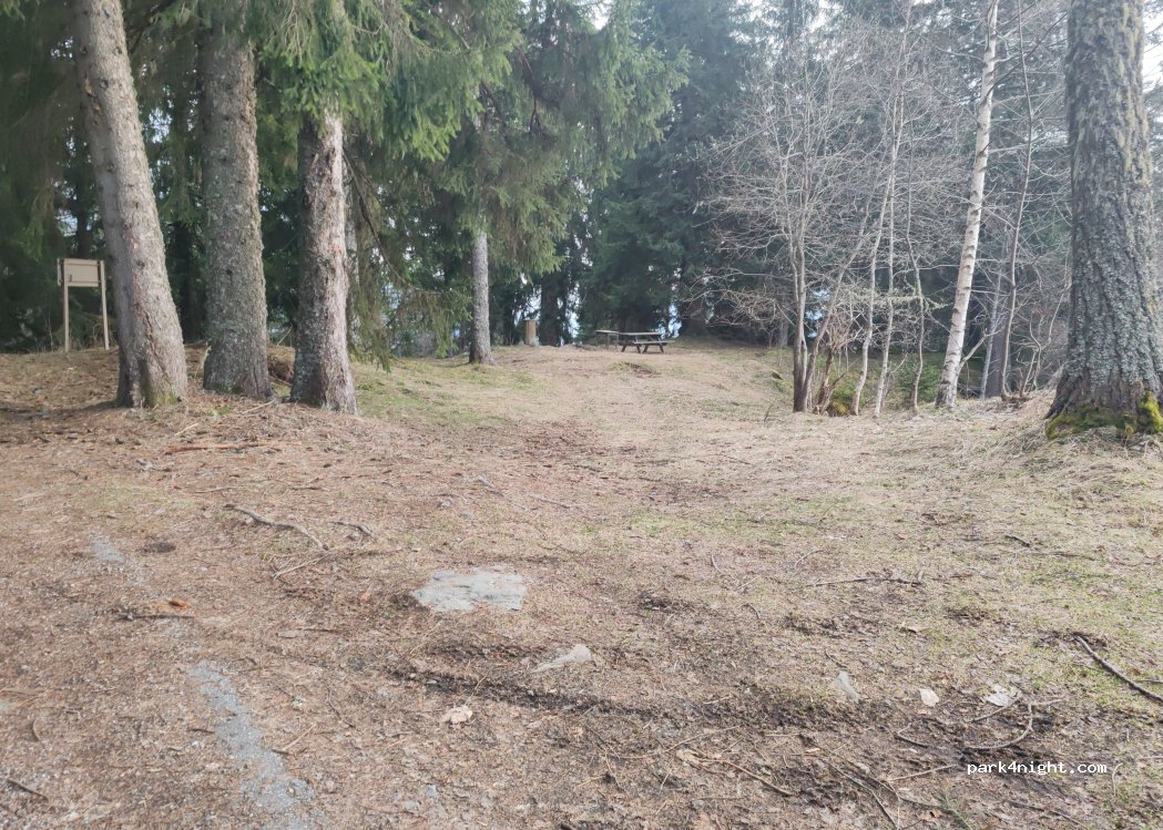 (73540) La Bâthie - Rte Forestière de la Montagne des Prés — foto 4