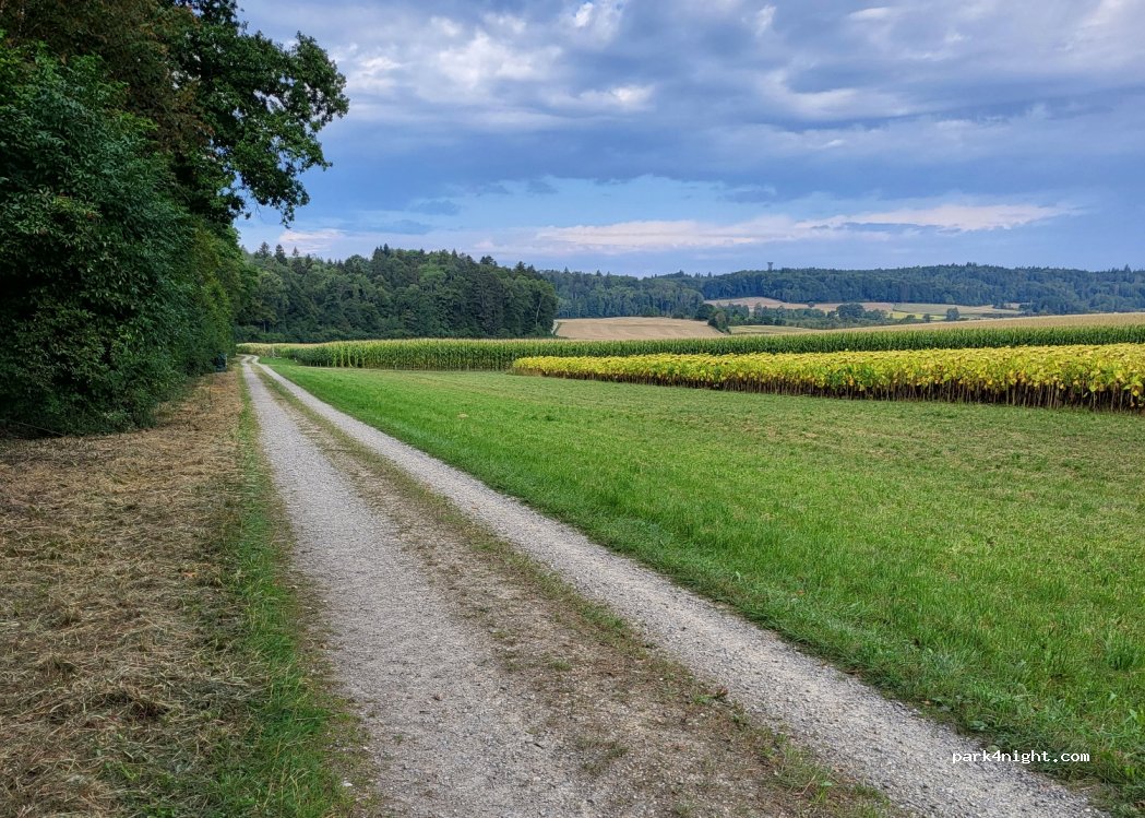 (8252) Schlatt bei Diessenhofen - — foto