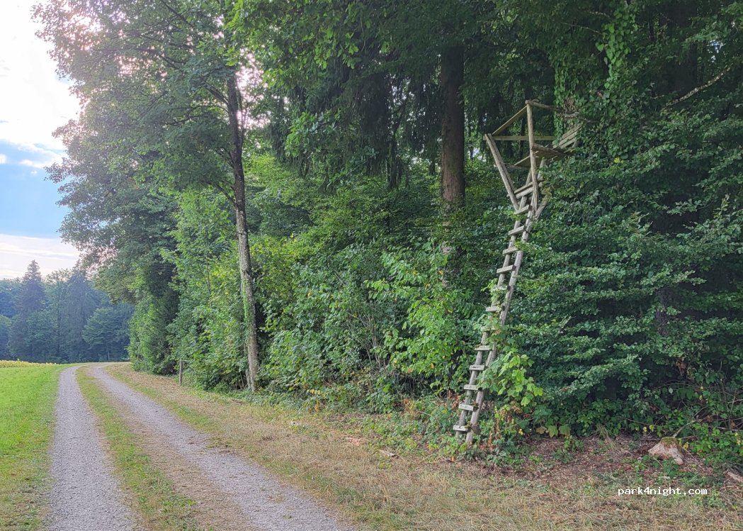(8252) Schlatt bei Diessenhofen - — foto 2