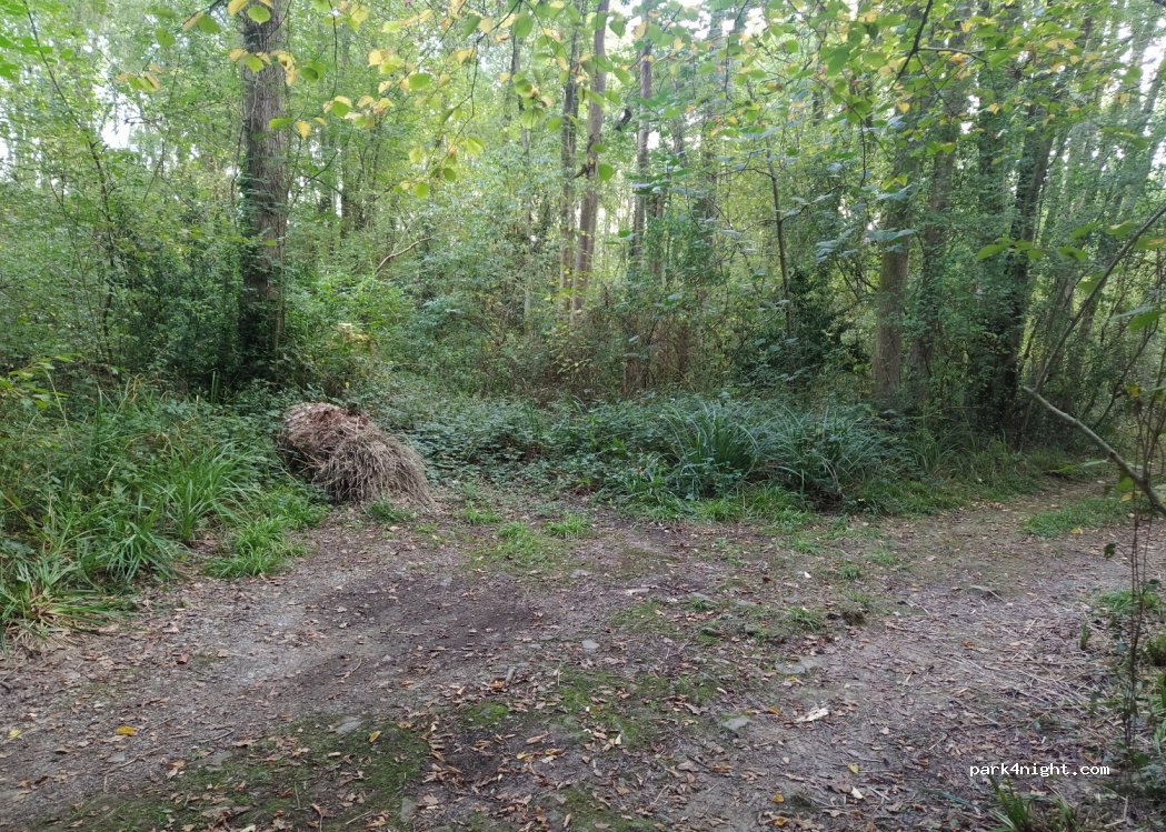 (64210) Ahetze - 1380 Chemin Larré Luzea — foto