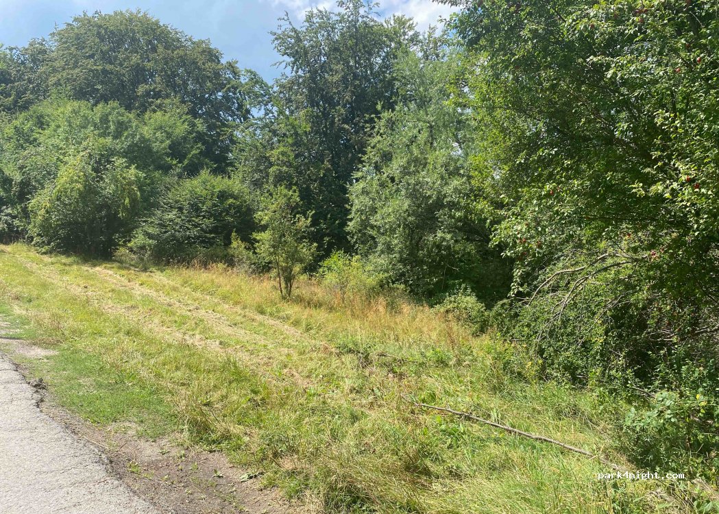 (1475) Plana - Unnamed Road — foto