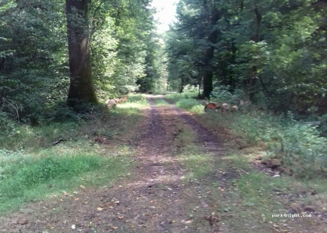 (68210) Chavannes-sur-l'Étang - — foto