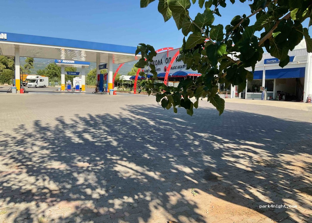 (240 02) Ichalia - Enotiki Tsakonas Kiparissias — foto